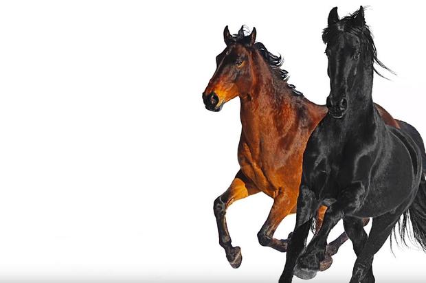 Lil Nas X & Billy Ray Cyrus Bring Even More Country To “Old Town Road” With Remix