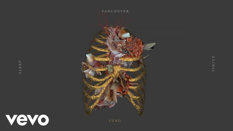 Samples: Vancouver Sleep Clinic – Lung (Animated Video)