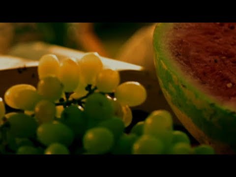 Samples: Iron & Wine – Naked as We Came [OFFICIAL VIDEO]
