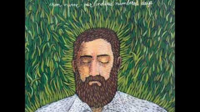 Samples: Iron and Wine, Fever dream