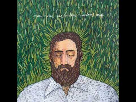 Samples: Iron and Wine, Fever dream