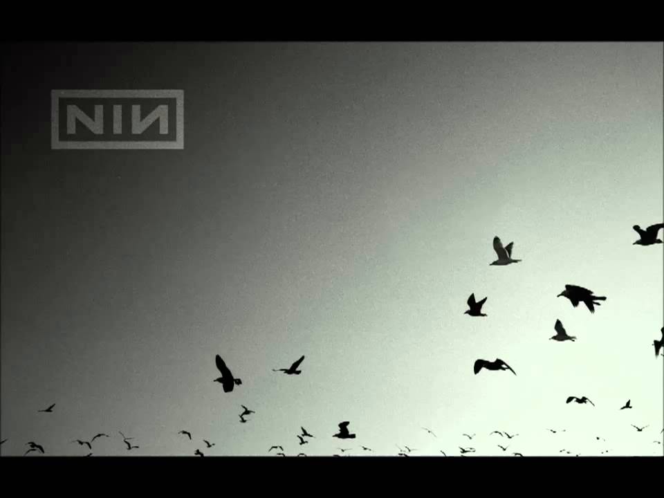 Samples: Nine Inch Nails – Ghosts (Full Album)