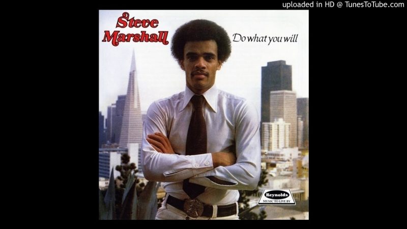 Samples: Steve Marshall-You Are The World