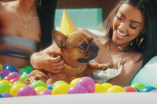 T-Pain Throws His Dog A Perfect Party In “It’s My Dog Birthday” Visual