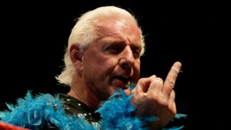 Ric Flair Fires Back At Shawn Michaels: Video
