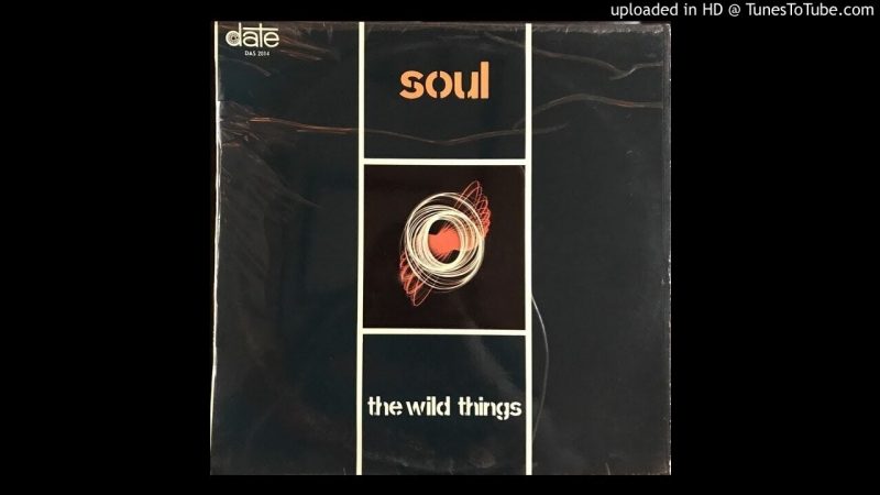 Samples: THE WILD THINGS – Be mine